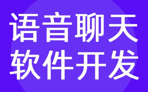 语音聊天软件开发 陌生人一对一视频定制公司 红匣子科技